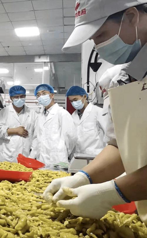 科技助推貴州辣椒產(chǎn)業(yè)全鏈升級高質(zhì)量發(fā)展